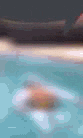 a blurred image of a person swimming in a swimming pool .