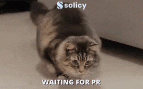 Solicy Waiting GIF - Solicy Waiting Pr GIFs