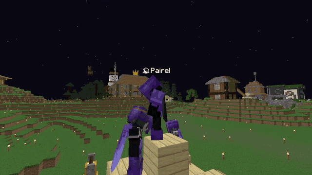 a screenshot of a video game with the name pairel at the bottom