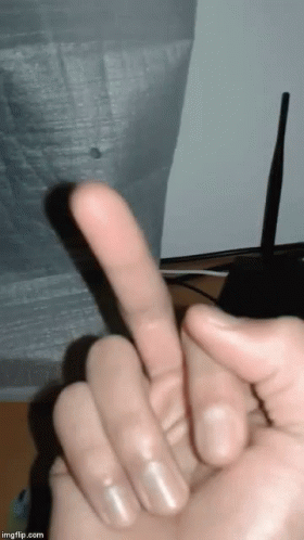 Fuck You Middle Finger GIF - Fuck You Middle Finger Idgaf GIFs