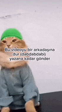 a cat wearing a green hat and a blue shirt with the words bu videoyu bir arkadasina dur