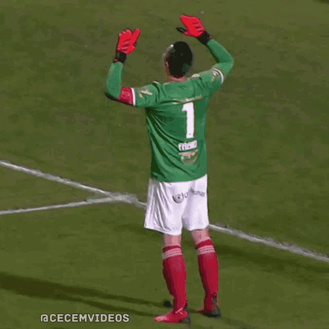a soccer player wearing a green jersey with the number one on it