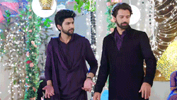 two men in purple shirts and black suits are holding hands while walking .