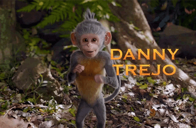 a small monkey with the name danny trejo written in orange