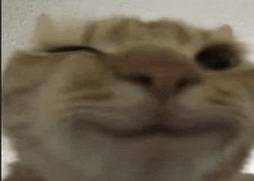 a close up of a cat 's face with its eyes closed and a slight smile on its face .
