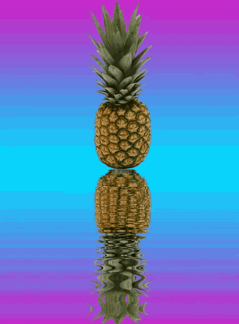 a pineapple is reflected in a pool of water on a pink and blue background