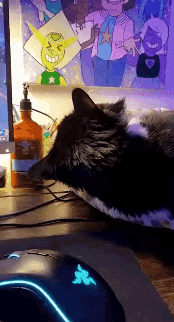 a black cat is laying on a desk in front of a computer monitor