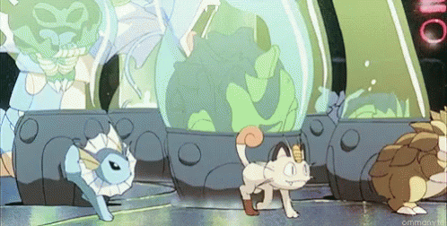 Pokemon Animations GIF - Pokemon Animations Animated GIFs