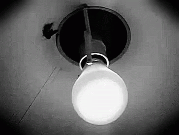Moth Light Bulb GIF - Moth Light Bulb GIFs