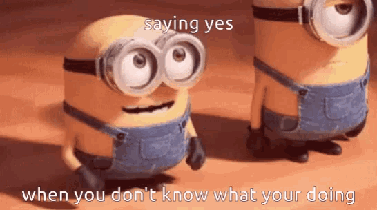 two minions are standing next to each other with the words saying yes when you don t know what your doing