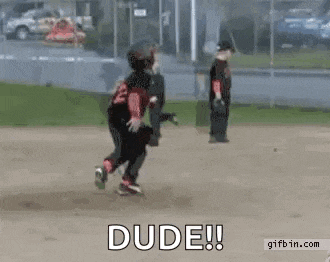 a young boy is playing baseball on a field and the word dude is written on the screen .