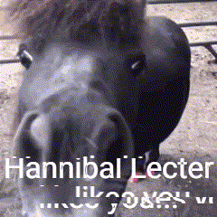 Hannibal Horse GIF