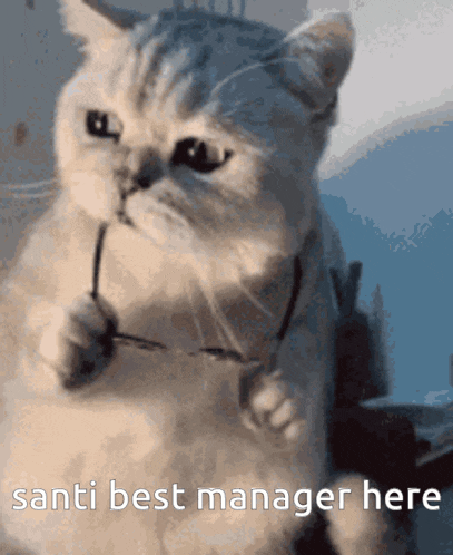 a cat holding a pair of glasses with the words santi best manager here below it