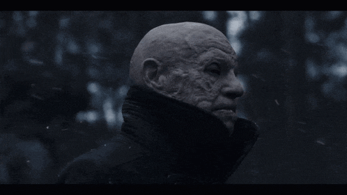 a bald man in a black coat is standing in a dark forest
