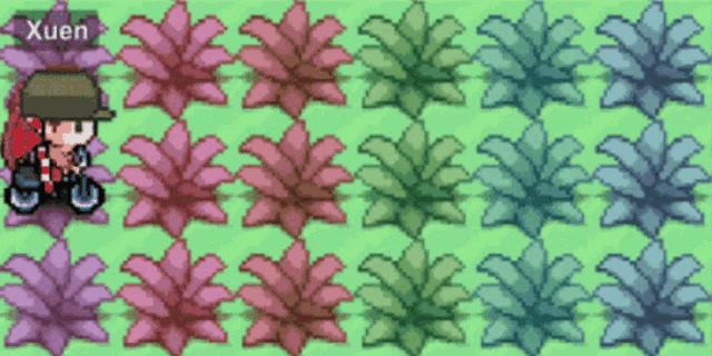 a video game character named xuen is surrounded by many different colored flowers