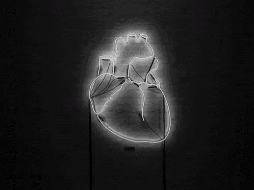 Black Heart Jet Black Heart GIF