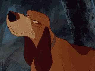 a close up of a cartoon dog 's face with a serious look on his face