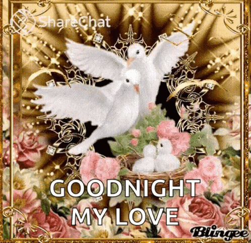 Goodnight Sparkles GIF - Goodnight Sparkles Flowers GIFs
