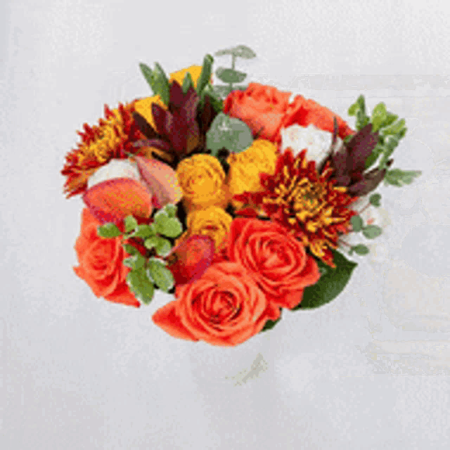 a bouquet of red , white and purple flowers on a white surface .