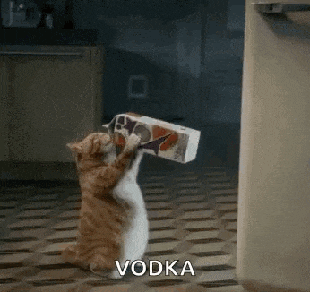a cat is holding a bottle of vodka in its mouth .