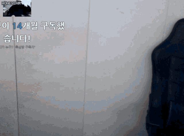 a person standing in front of a wall that says honeycam on the bottom