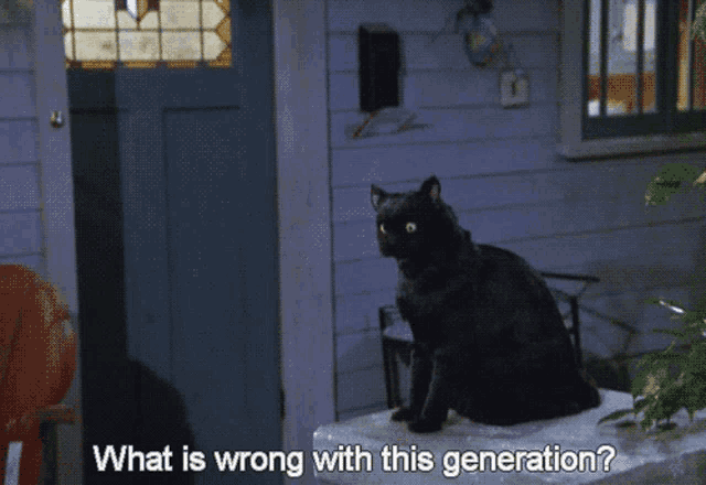 a black cat is sitting on a table with the words what is wrong with this generation