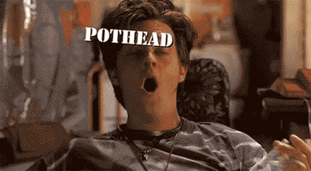 a pixelated image of a man with the word pothead on his face