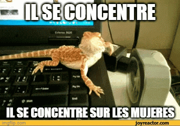 a lizard is sitting on top of a laptop keyboard with the caption il se concentre il se concentre sur les mujeres