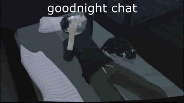 a man laying on a bed with a cat and the words goodnight chat