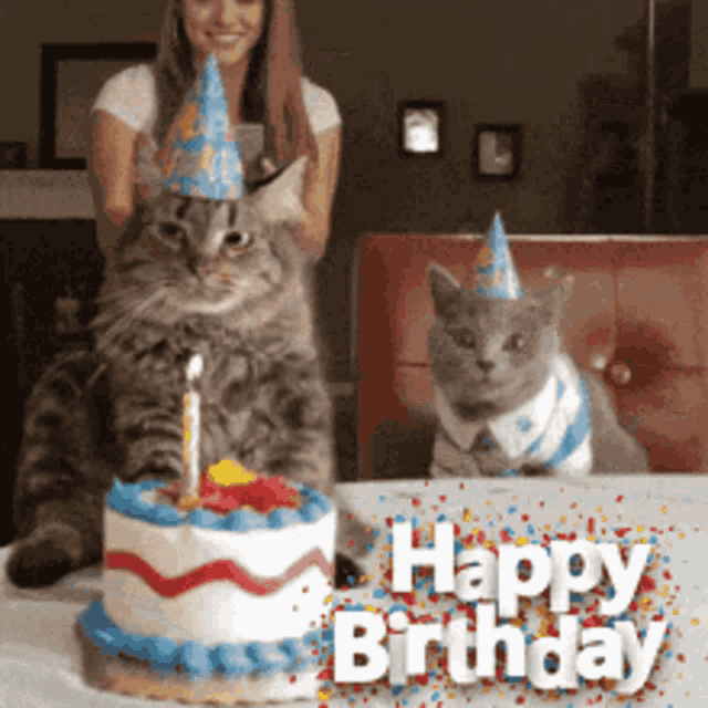 two cats wearing party hats are sitting next to a birthday cake
