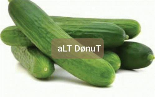 Alt Donut GIF