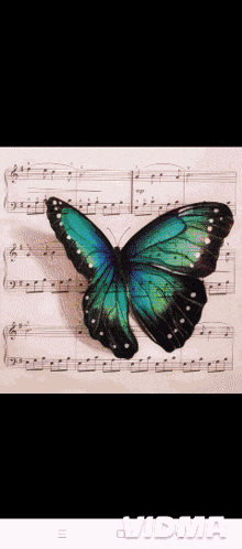 a butterfly is sitting on a sheet of music