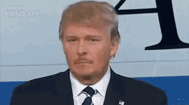 donald trump is wearing a suit and tie with a mustache and looking at the camera .