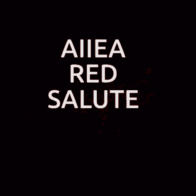 aiiea red salute written in white on a black background