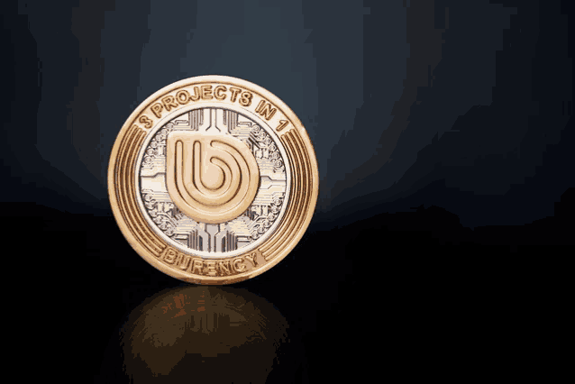 a gold and silver coin that says " projects in 1 "