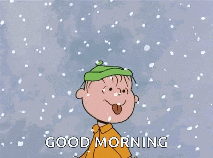 a cartoon of a boy wearing a green hat is standing in the snow and says `` good morning '' .