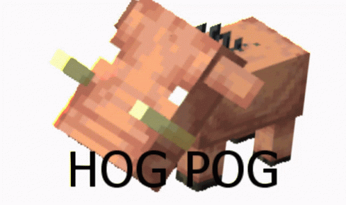 Hogpog GIF - Hogpog GIFs