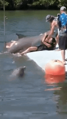 a woman is laying on a dock next to a dolphin in the water