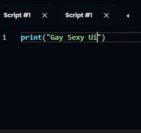 a screen shot of a program that says " print ( gay sexy ui "