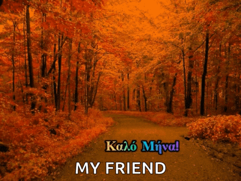 a picture of a forest with the words " my friend " in the upper right corner