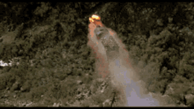 an aerial view of a rocket flying through the air in the woods .