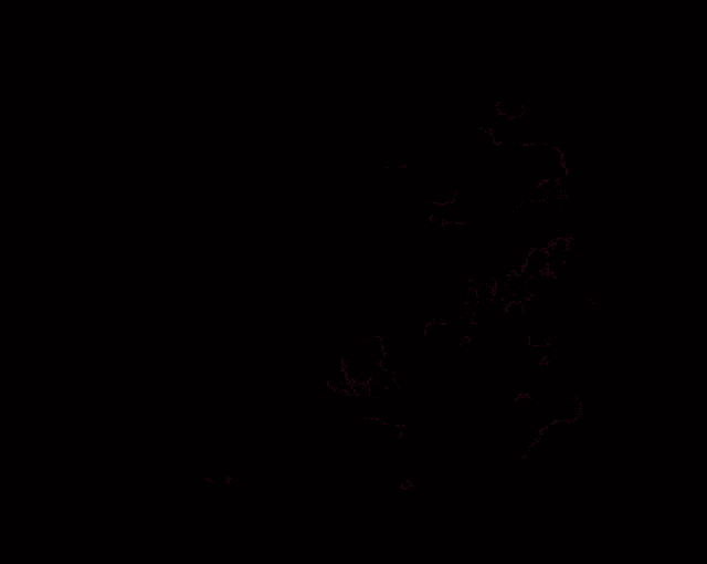a circle of flowers on a dark background