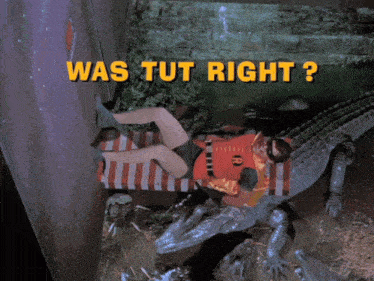 a robin laying on a crocodile with the words was tut right