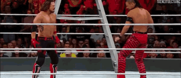 Shinsuke Nakamura Stance GIF