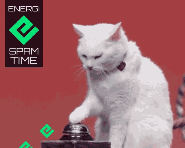 a white cat is playing with a bell in front of an energi spam time logo