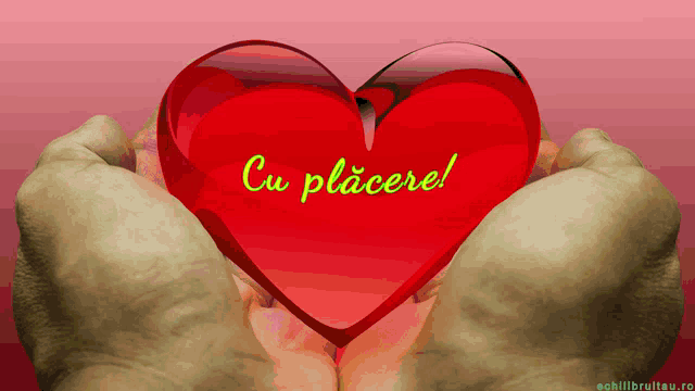 a person holding a red heart with cu placere written on it