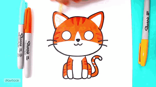 a drawing of an orange and white cat with sharpie markers