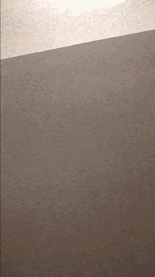 a close up of a piece of paper with a white stripe