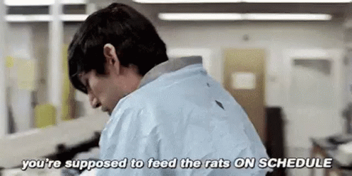 You Supposed To Feed The Rats On Sched GIF - You Supposed To Feed The Rats On Sched Adam Driver GIFs