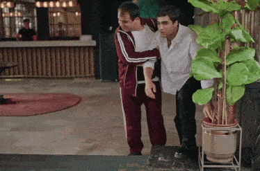 two men are standing next to a potted plant in a hotel lobby